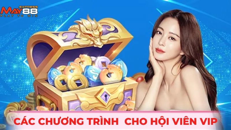Các chương trình dành riêng cho hội viên VIP
