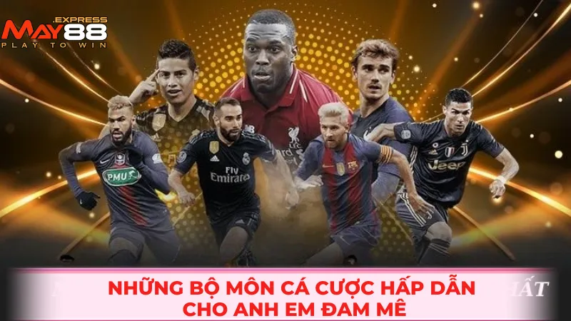 Những bộ môn cá cược hấp dẫn cho anh em đam mê