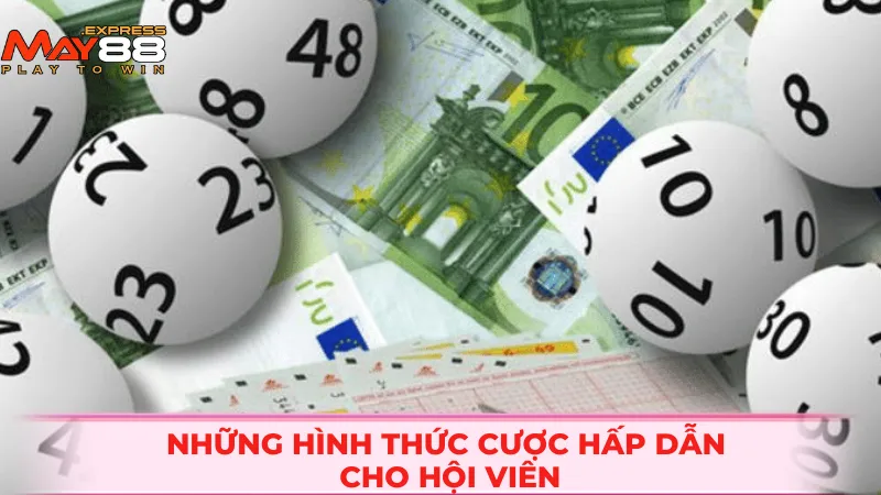 Những hình thức cược hấp dẫn cho hội viên