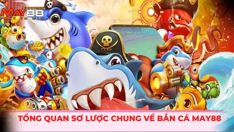 Tổng quan sơ lược chung về bắn cá MAY88